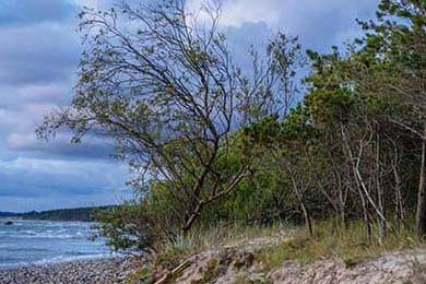 全国青少年轮滑跳台大赛创佳绩，2021年全国青少年轮滑俱乐部联赛