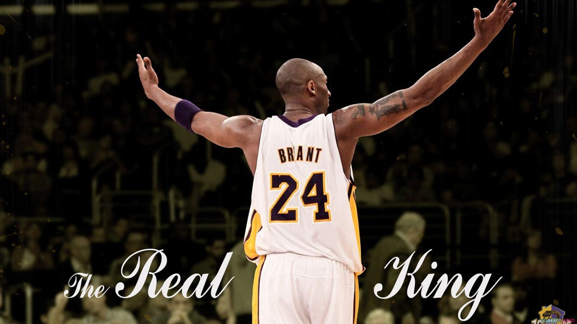 决赛之夜 李冰洁拼搏到底令人动容，李冰洁比赛